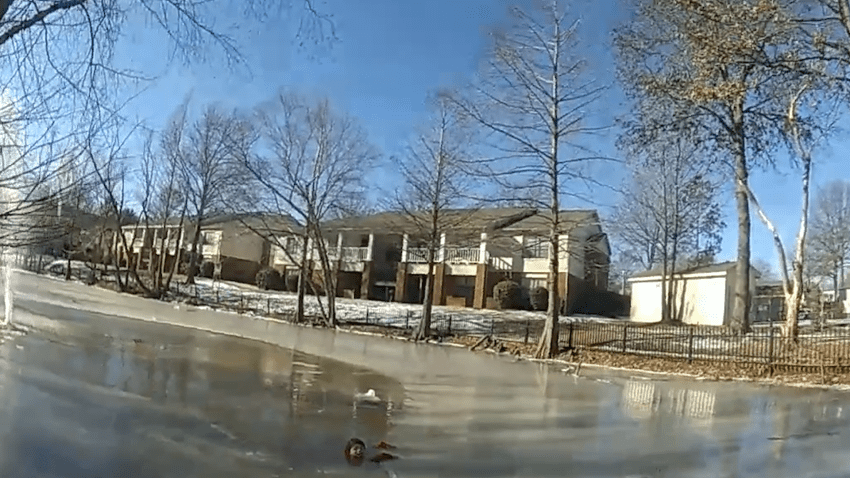 Lake in which a child fell as was rescued.