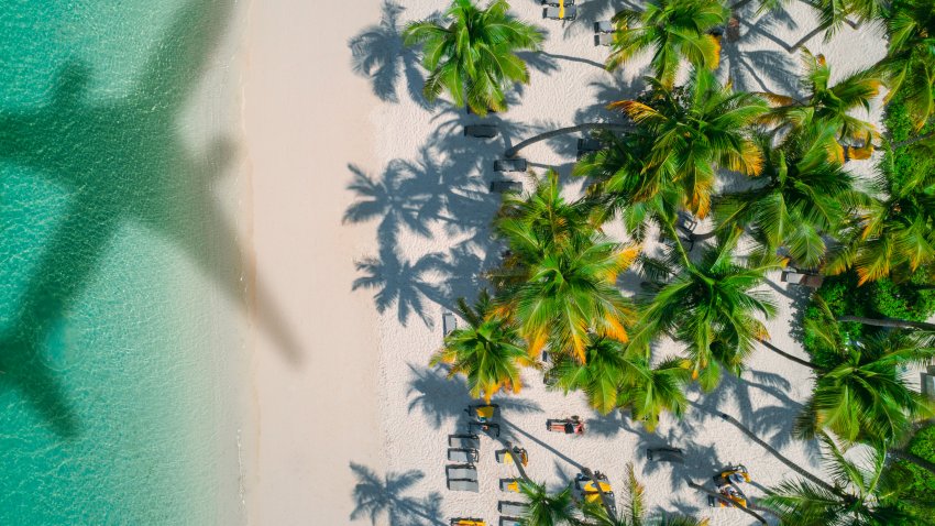 Aerial view of tropical beach. Punta Cana, Dominican Republic”rConcept of airplane travel to exotic destination with shadow of commercial airplane flying above beautiful tropical beach.