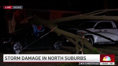 Storms across Chicago area leave damage in North suburban Skokie