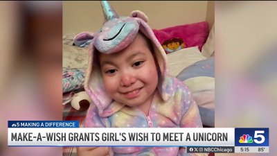 Make-a-Wish Foundation grants girl's wish to meet unicorn